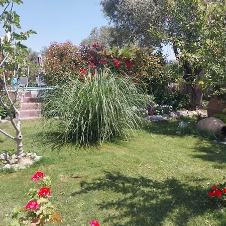 فندق مبيت وإفطار B&B Kusadasi