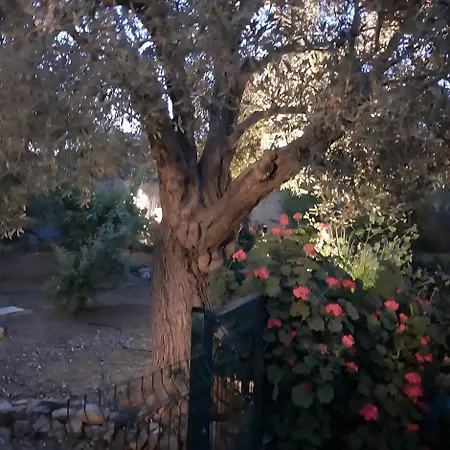 فندق مبيت وإفطار B&B Kusadasi *